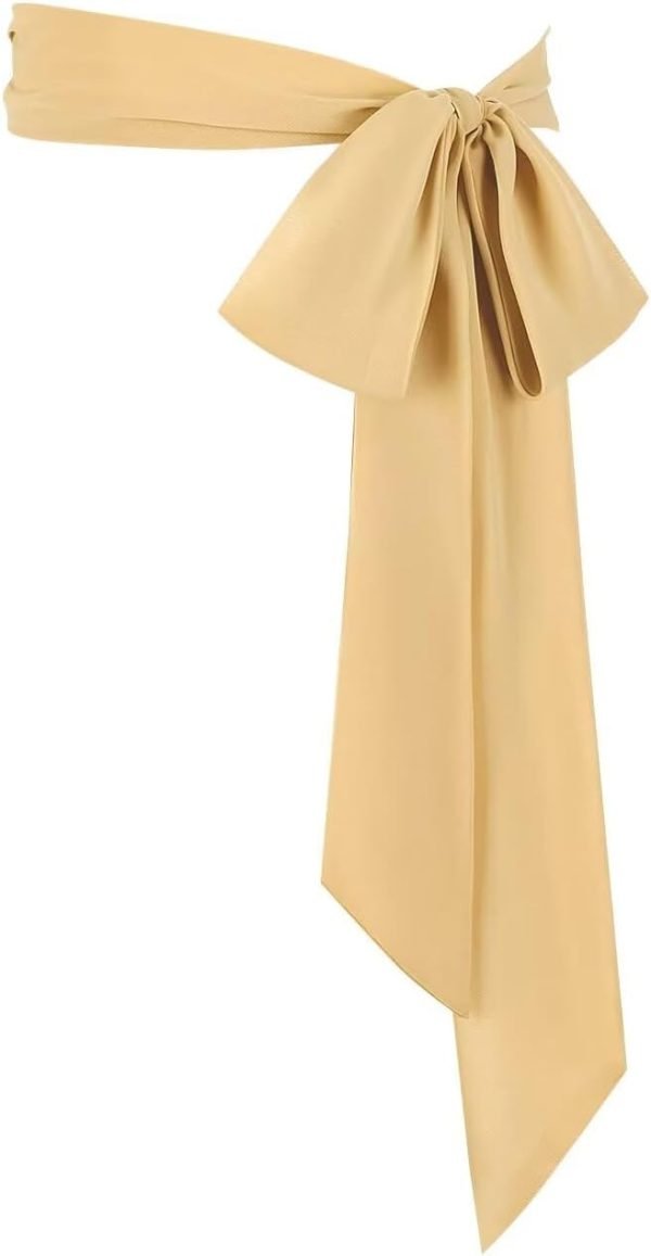 Jngrtsyjvip FashionWomen's Long Chiffon Sash Waist Belt For Bridal Wedding Bridesmaid Prom Formal Special Occasion Dresses Belt 3'' Wide